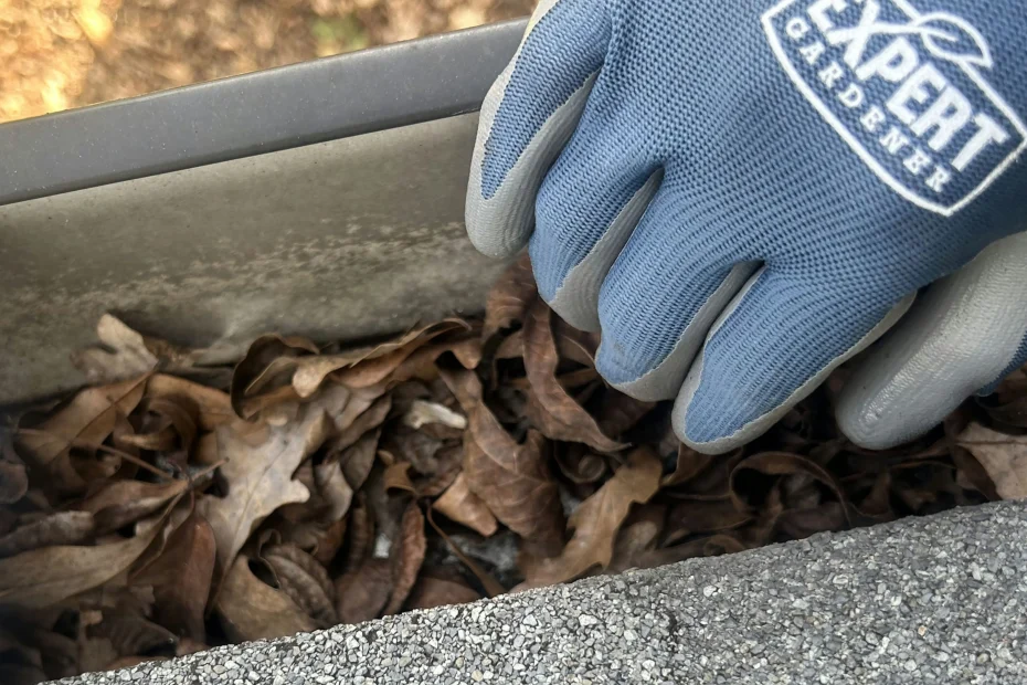 Gutter Cleaning Palm Coast FL