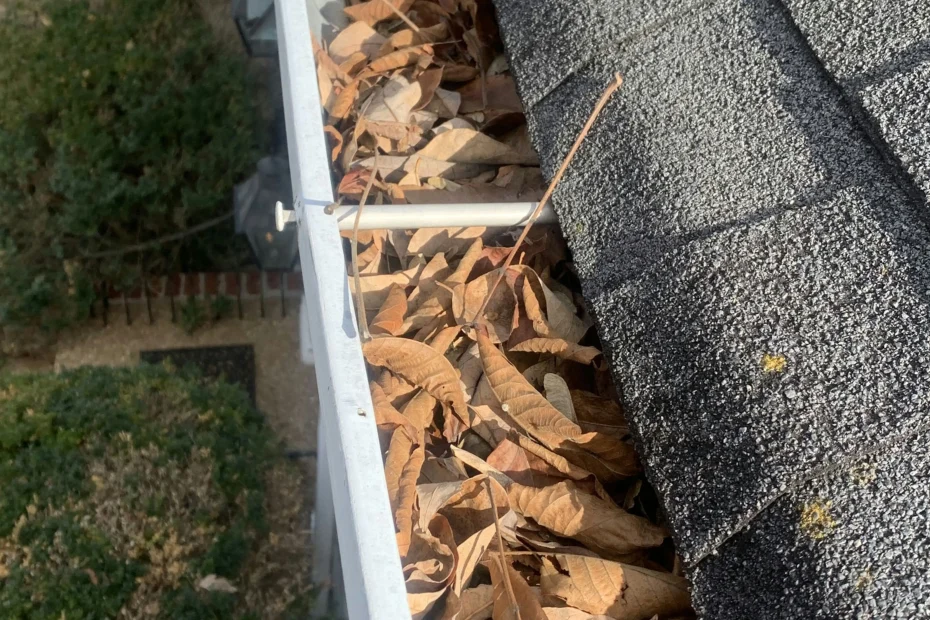 Gutter Cleaning Palm Coast FL