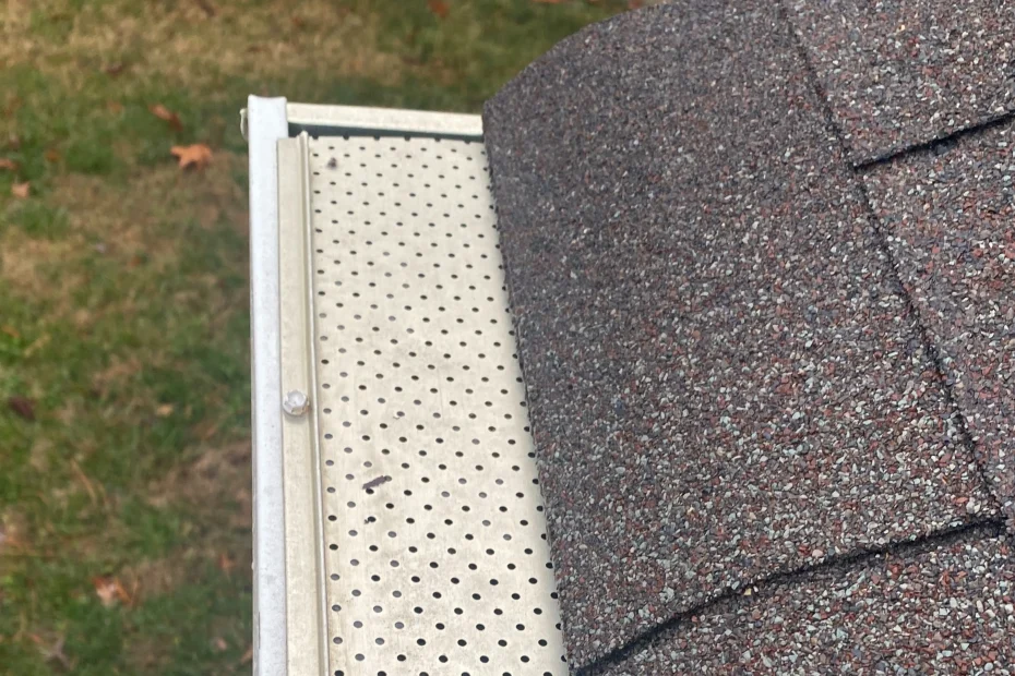 Gutter Cleaning Palm Coast FL