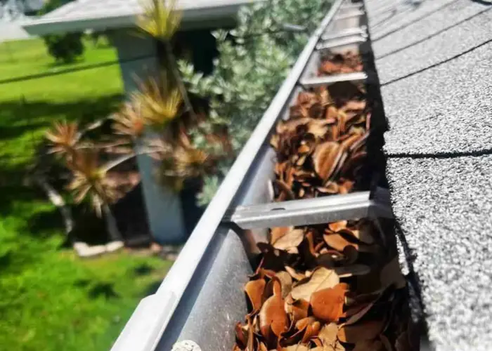 Gutter Cleaning Palm Coast FL home page